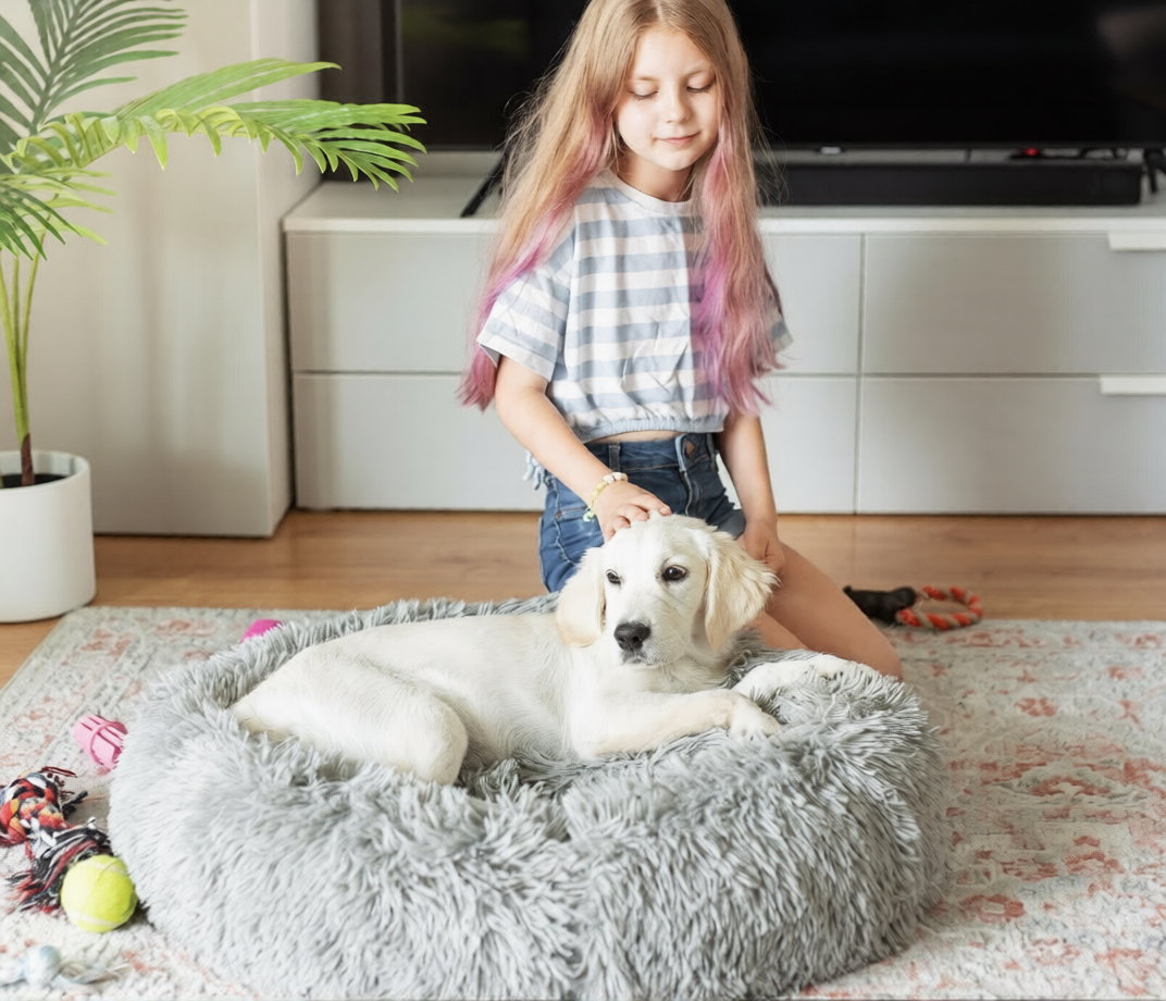 Choosing the Perfect Bed for Your Pet